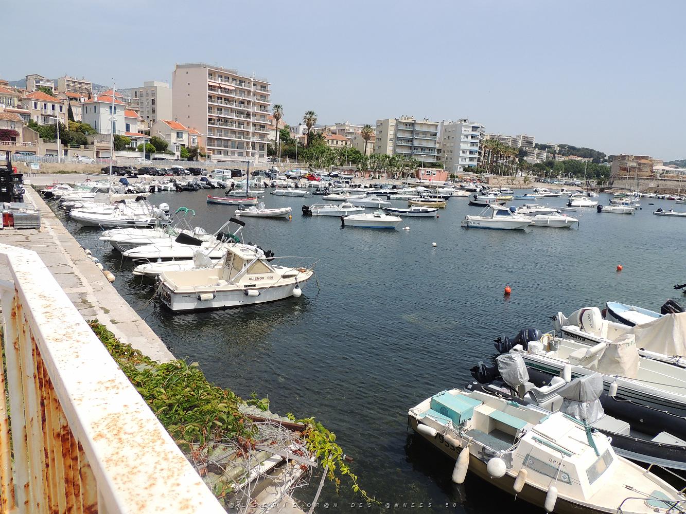 14  le mourillon et le petit port de saint-louis.JPG -           